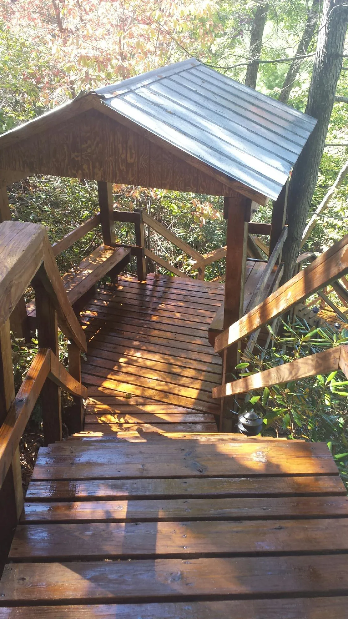 Freshly stained wood walkway and covered shelter with a metal roof in Gaston